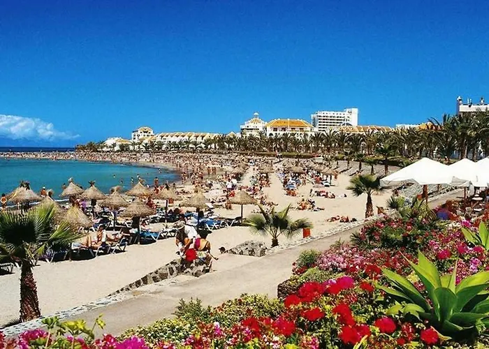 דירה Bart 50 Meters From Playa Vistas